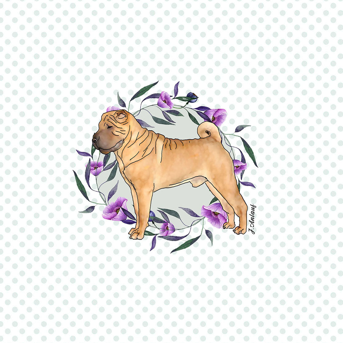 Chinese Shar-Pei