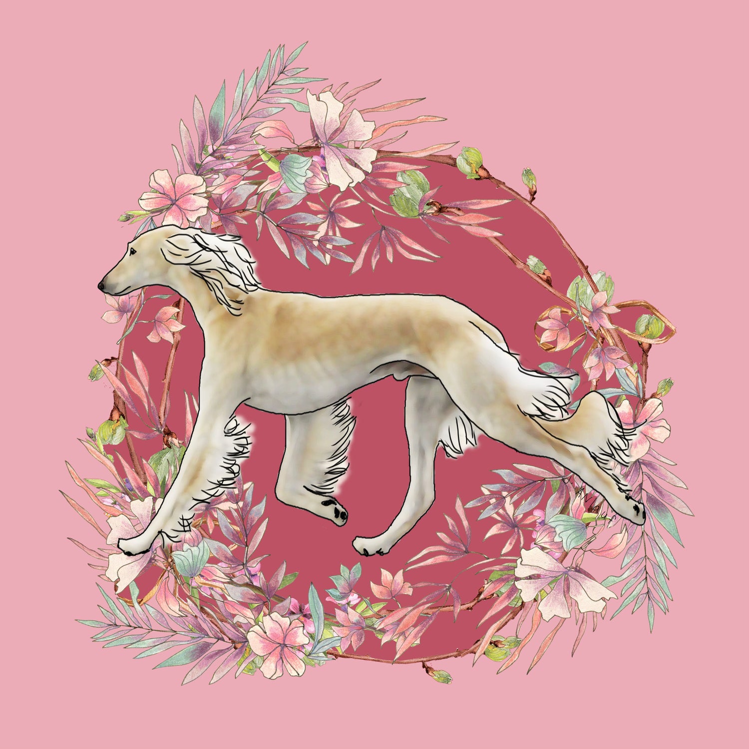 Saluki