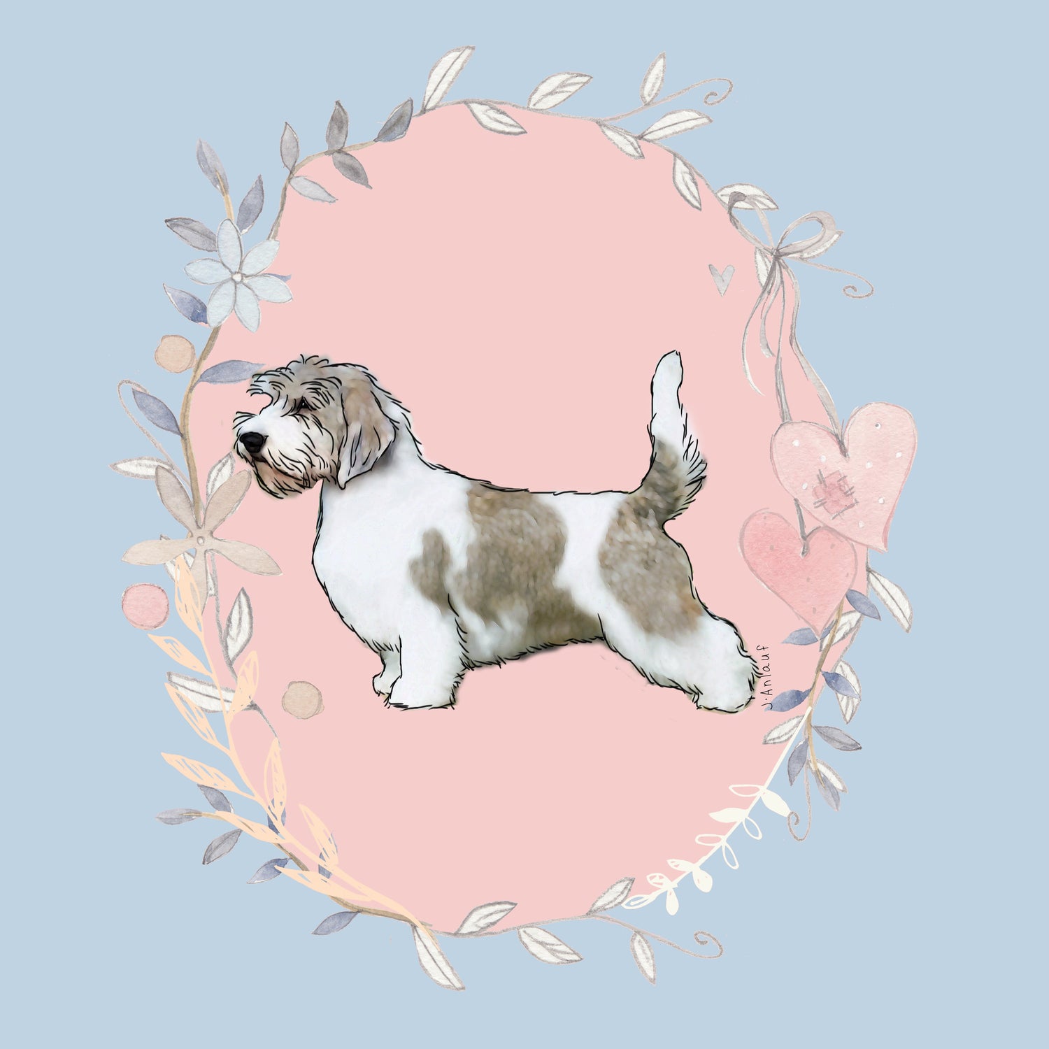 Petit Basset Griffon Vendeen