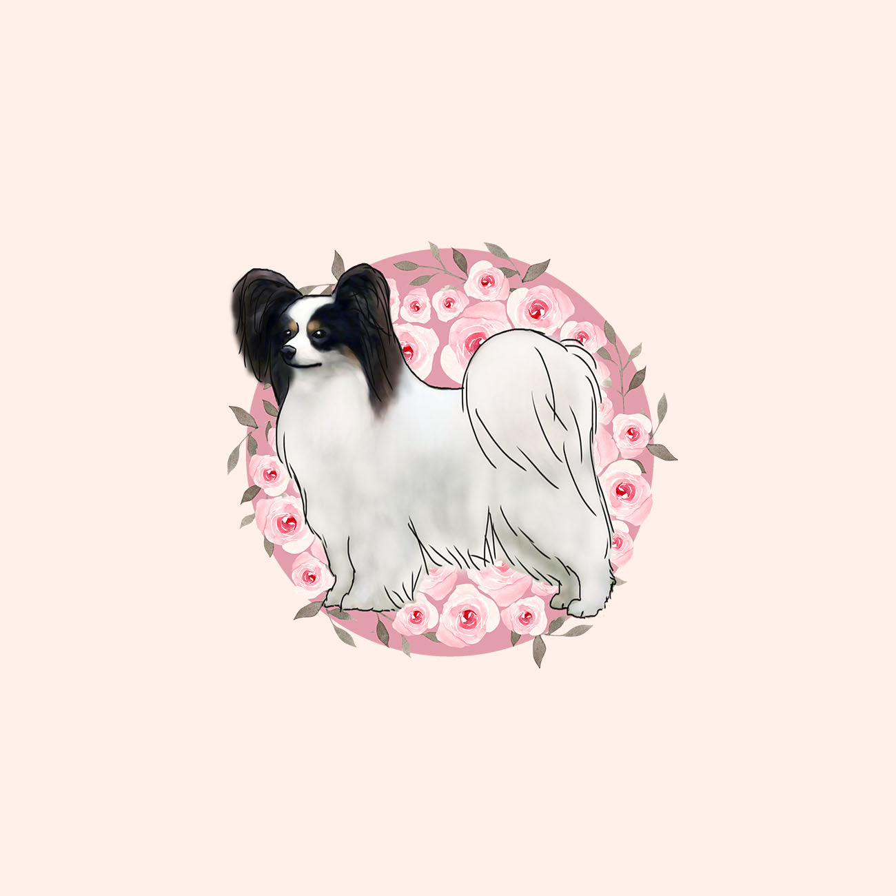Papillon