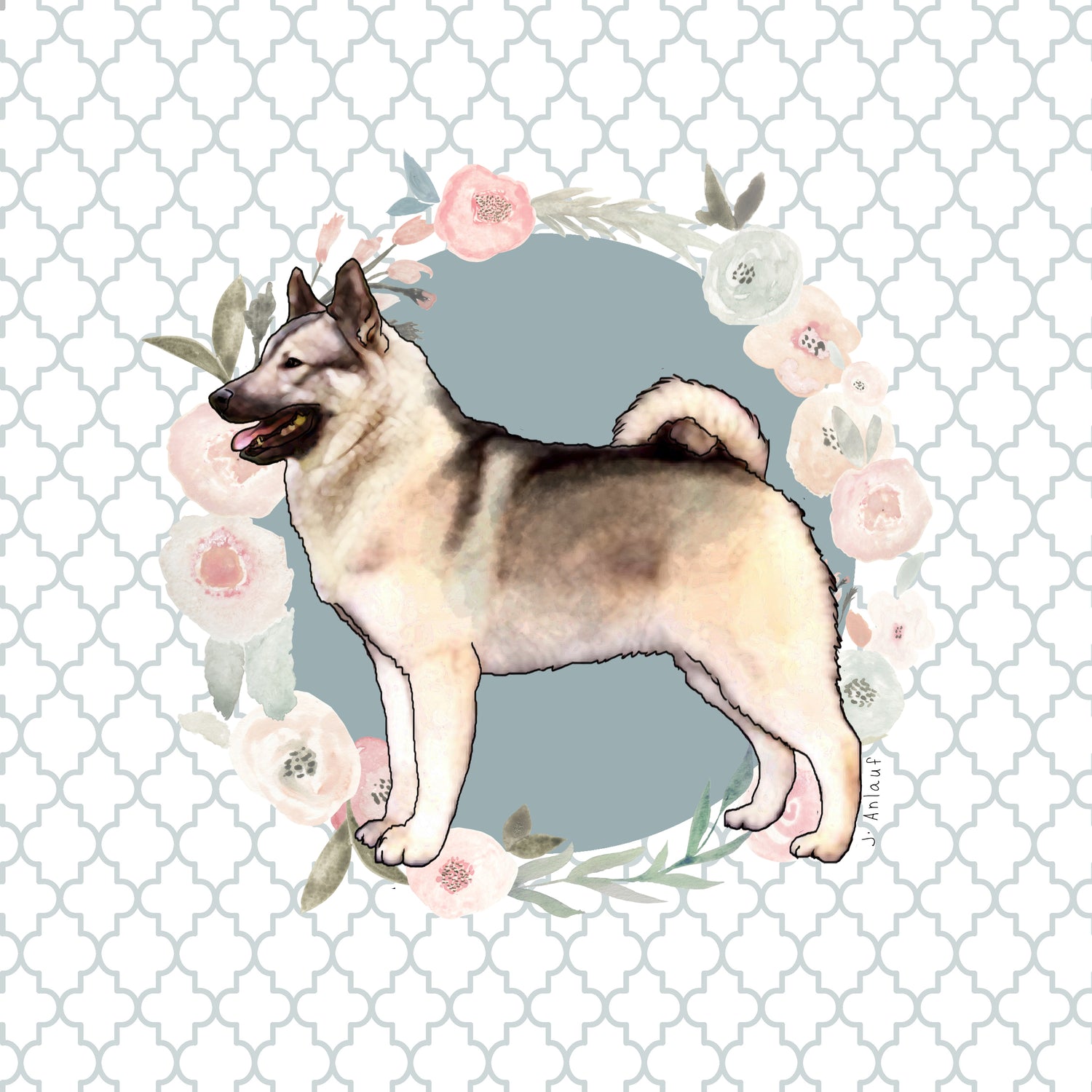 Norwegian Elkhound
