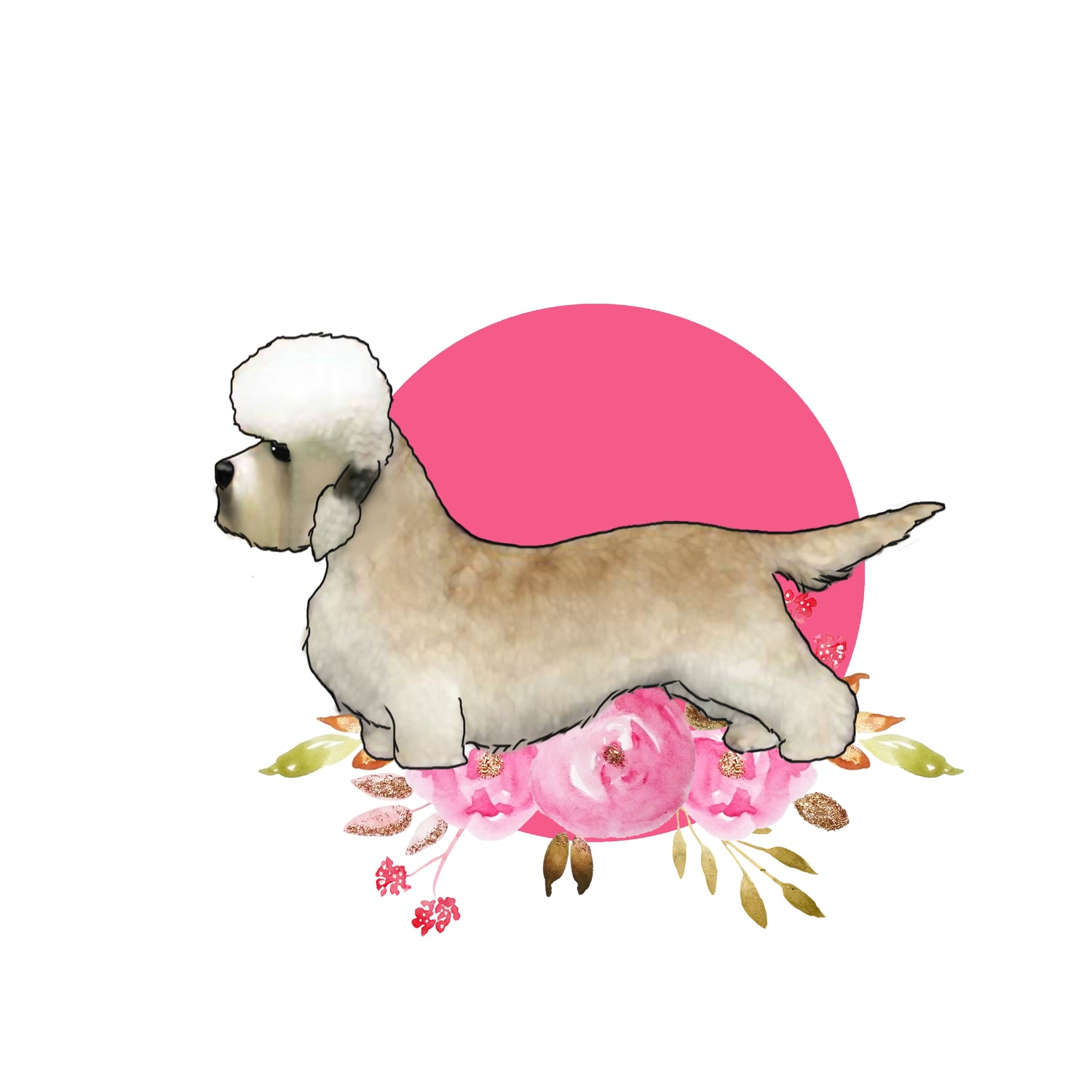 Dandie Dinmont Terrier
