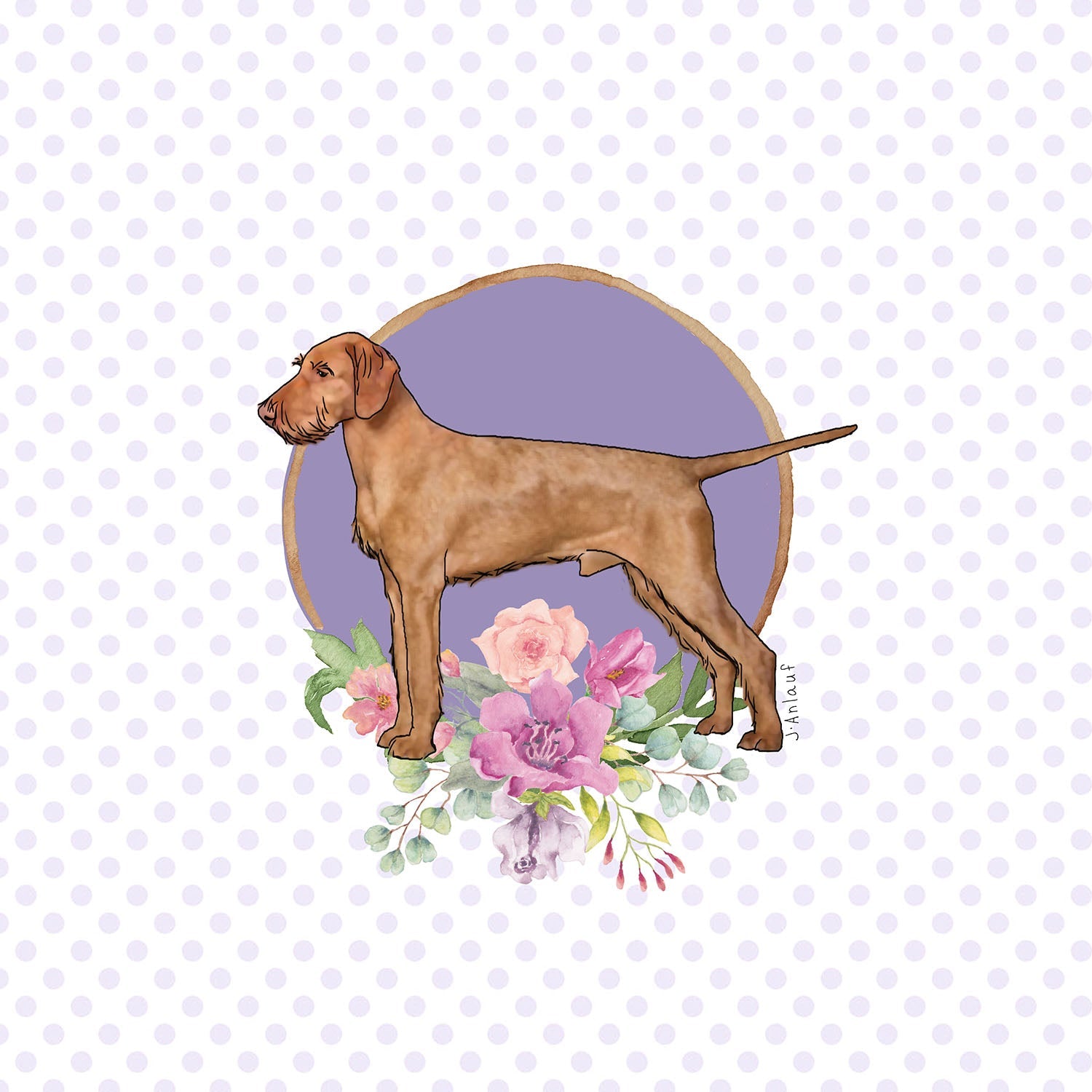 Wirehaired Vizsla