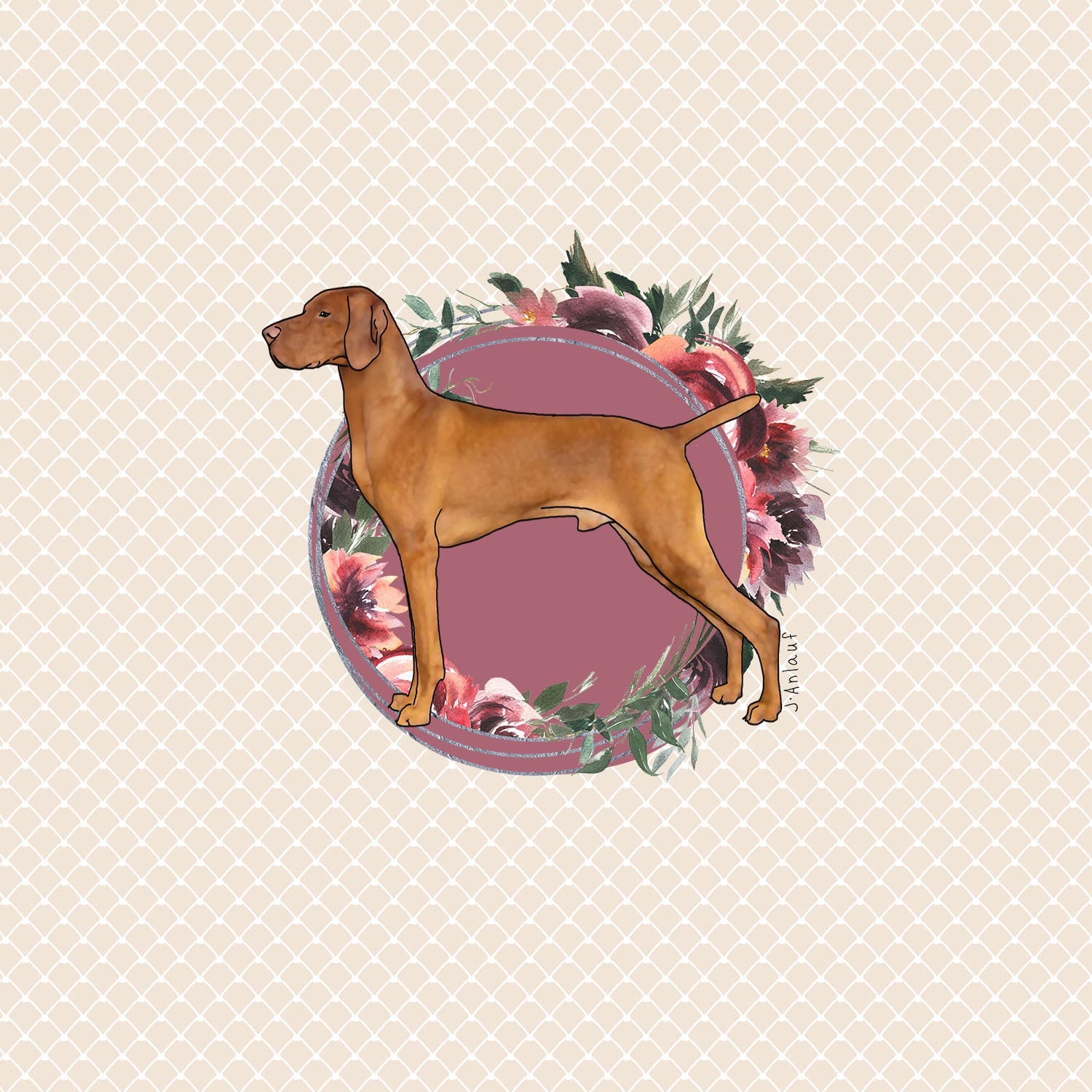Vizsla
