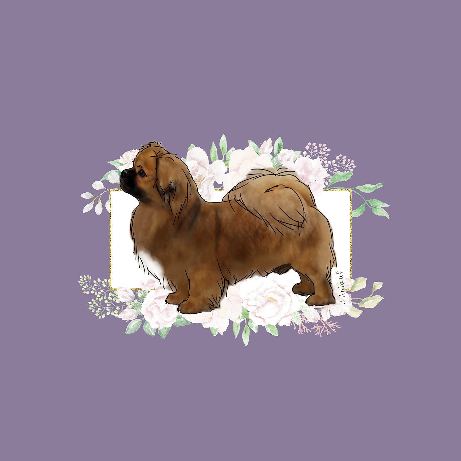 Tibetan Spaniel