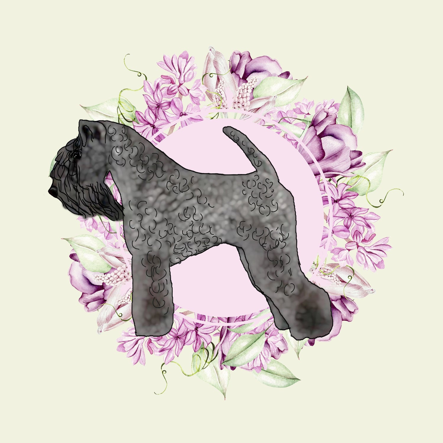 Kerry Blue Terrier