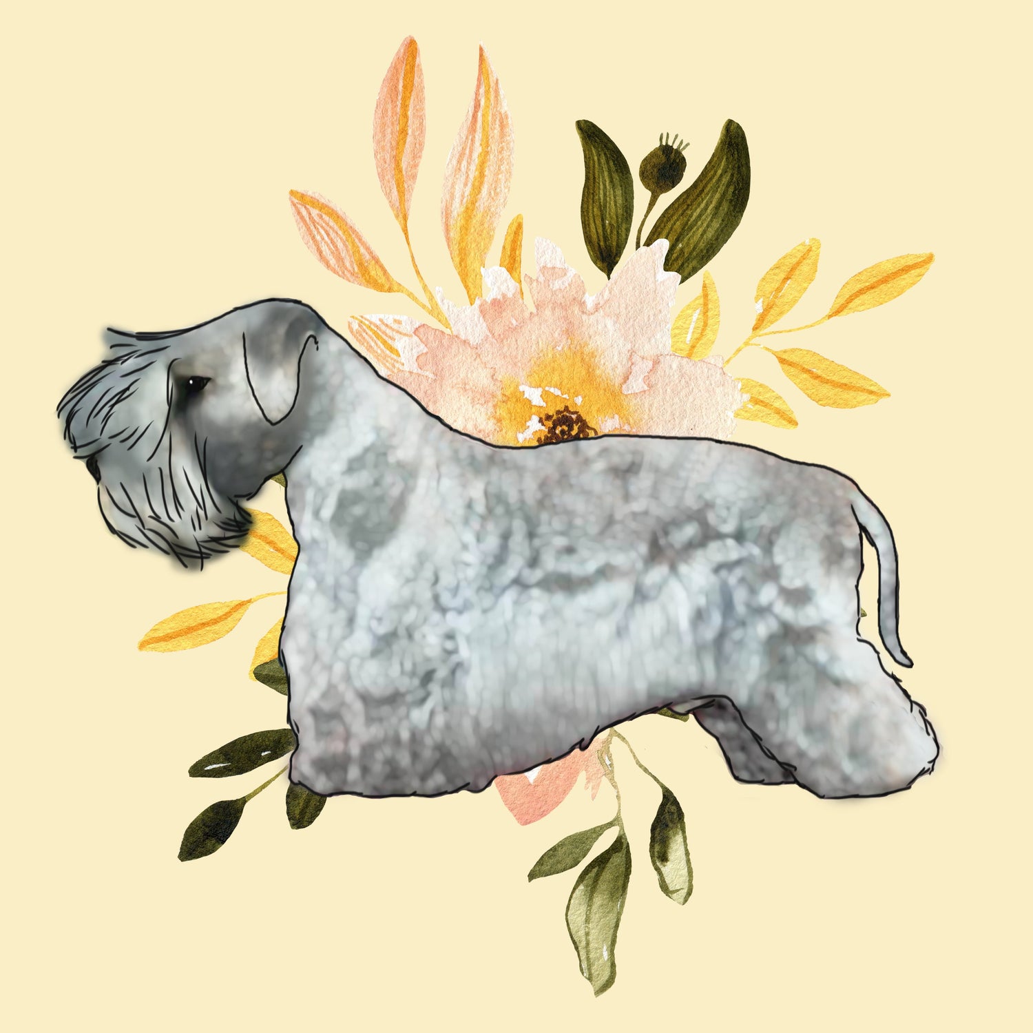 Cesky Terrier