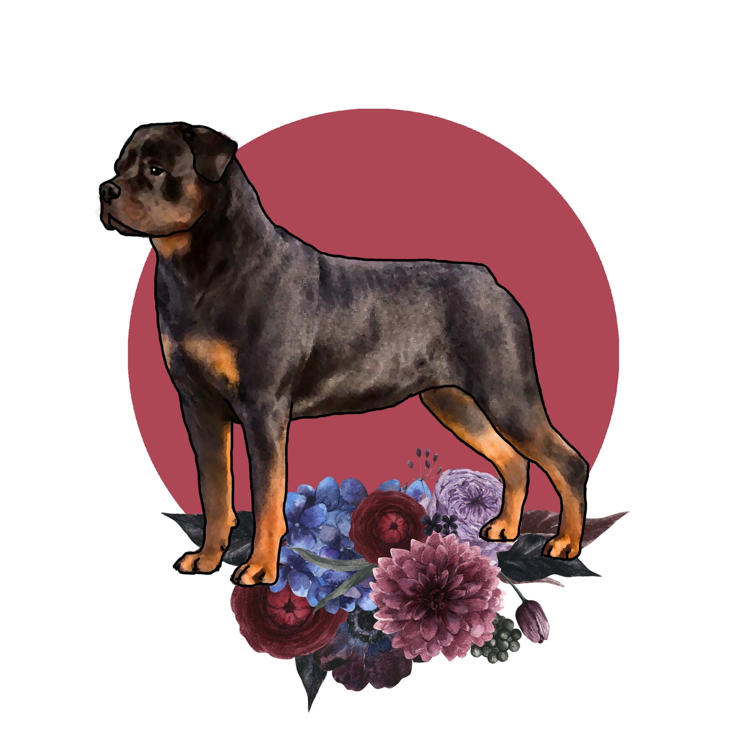Rottweiler