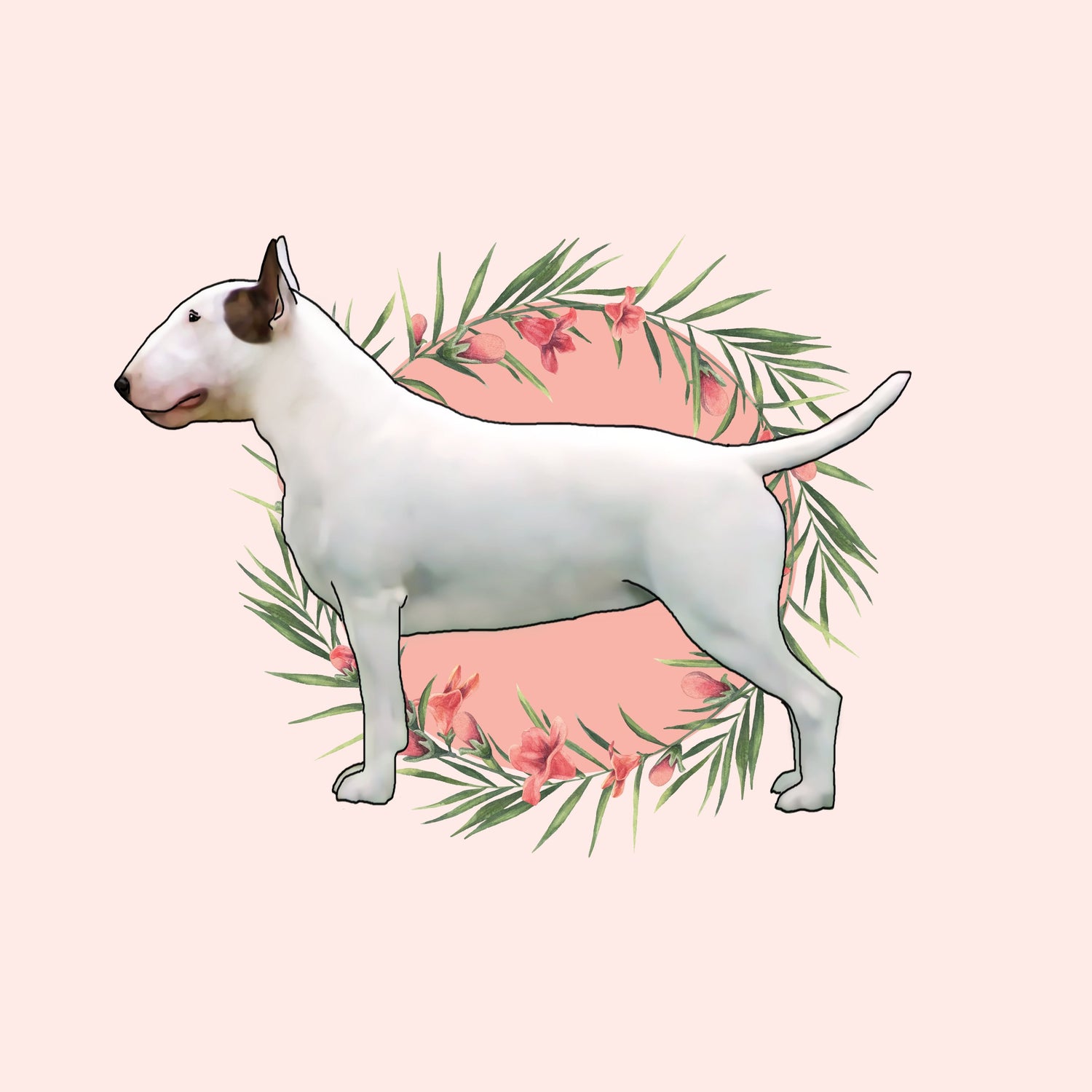Miniature Bull Terrier
