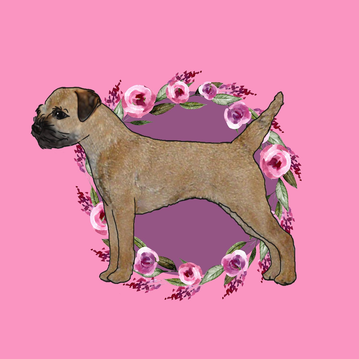 Border Terrier