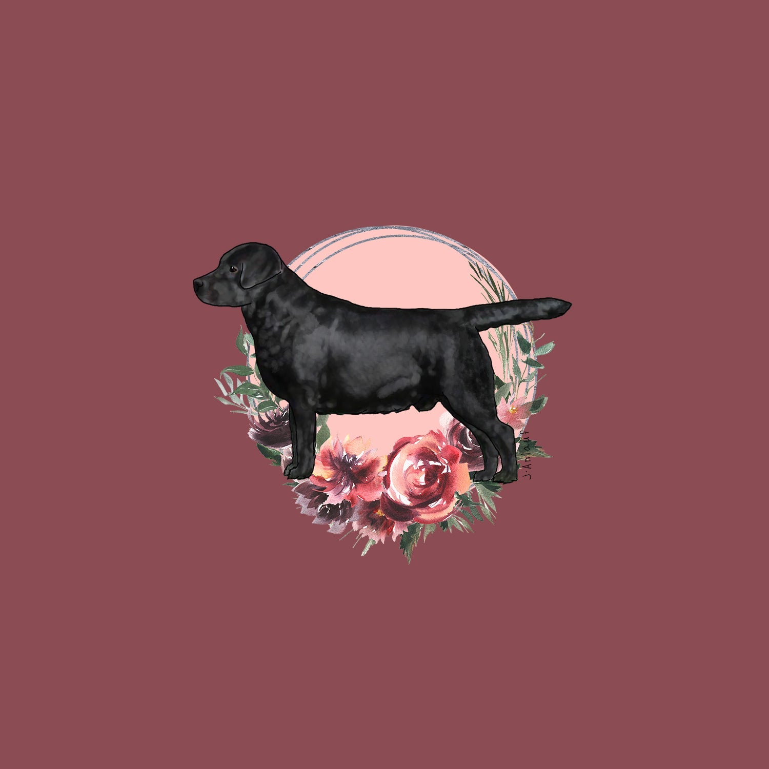 Labrador Retriever
