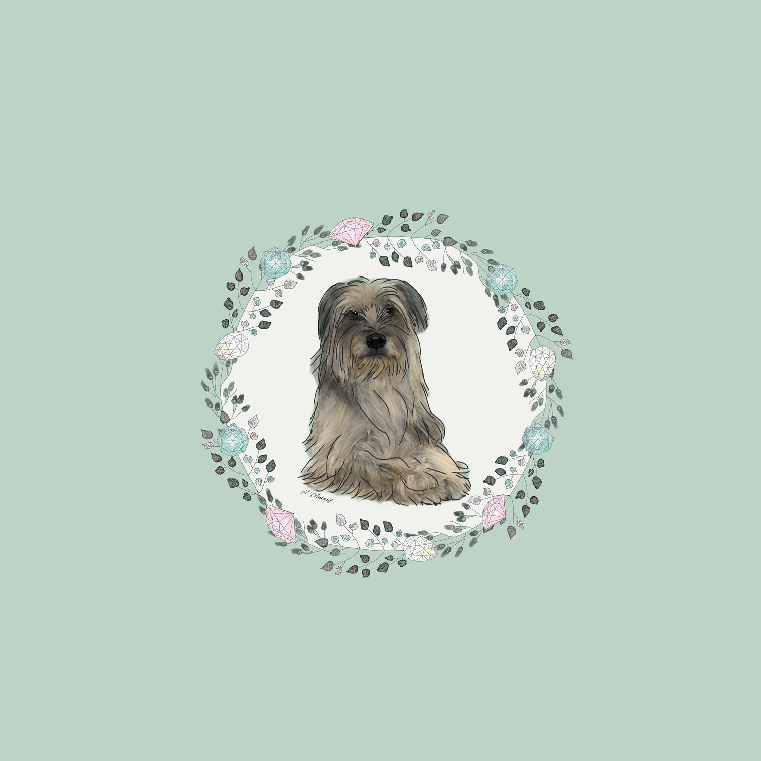 Pyrenean Shepherd