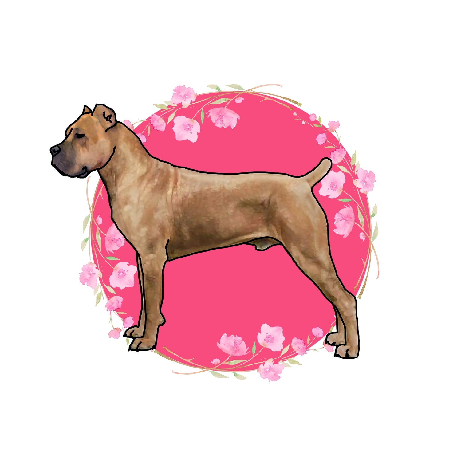 Cane Corso