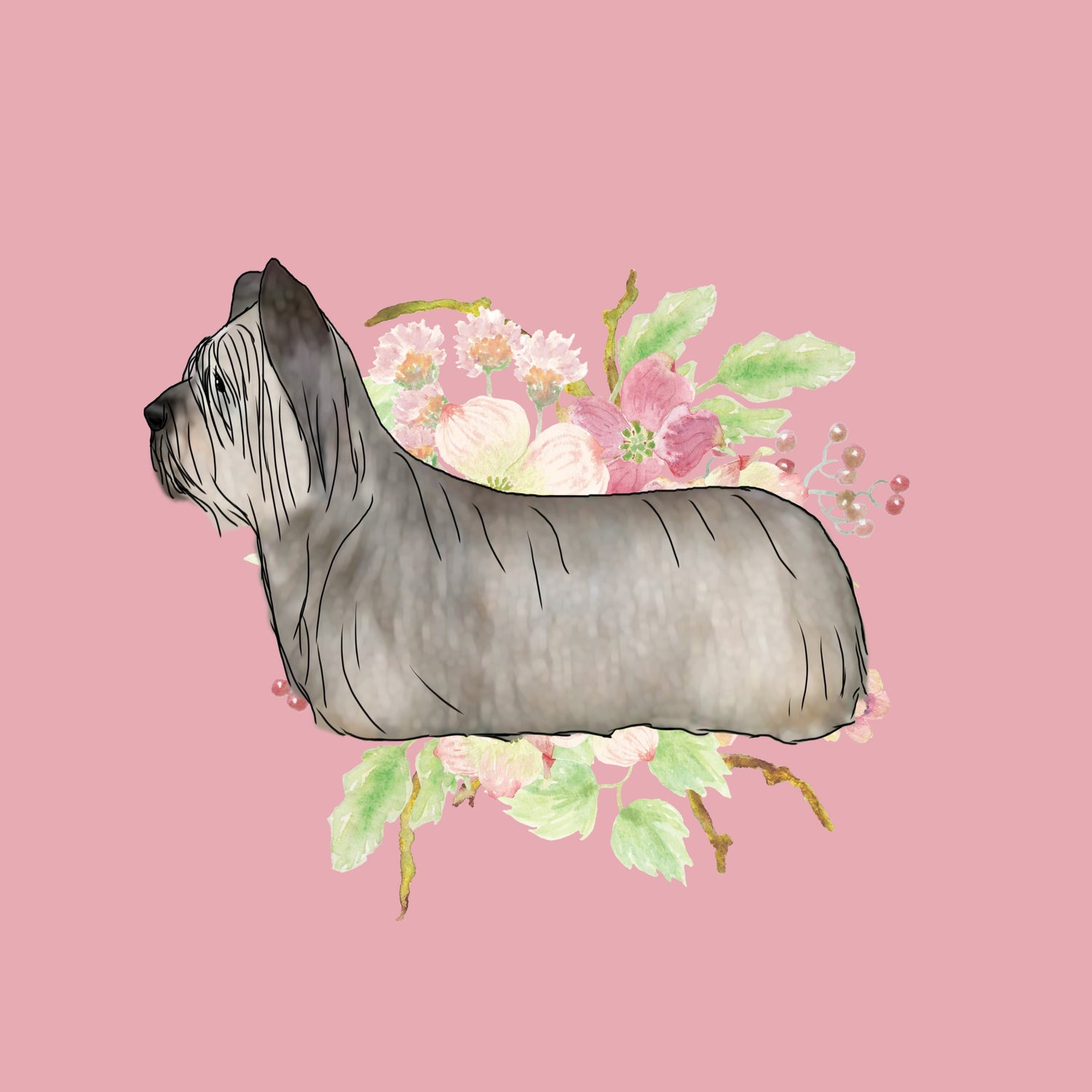 Skye Terrier