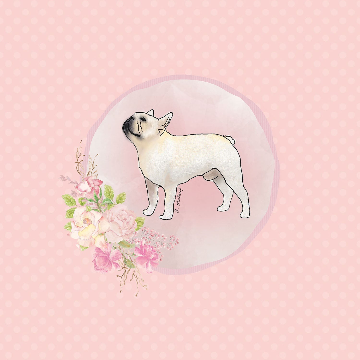 French Bulldog