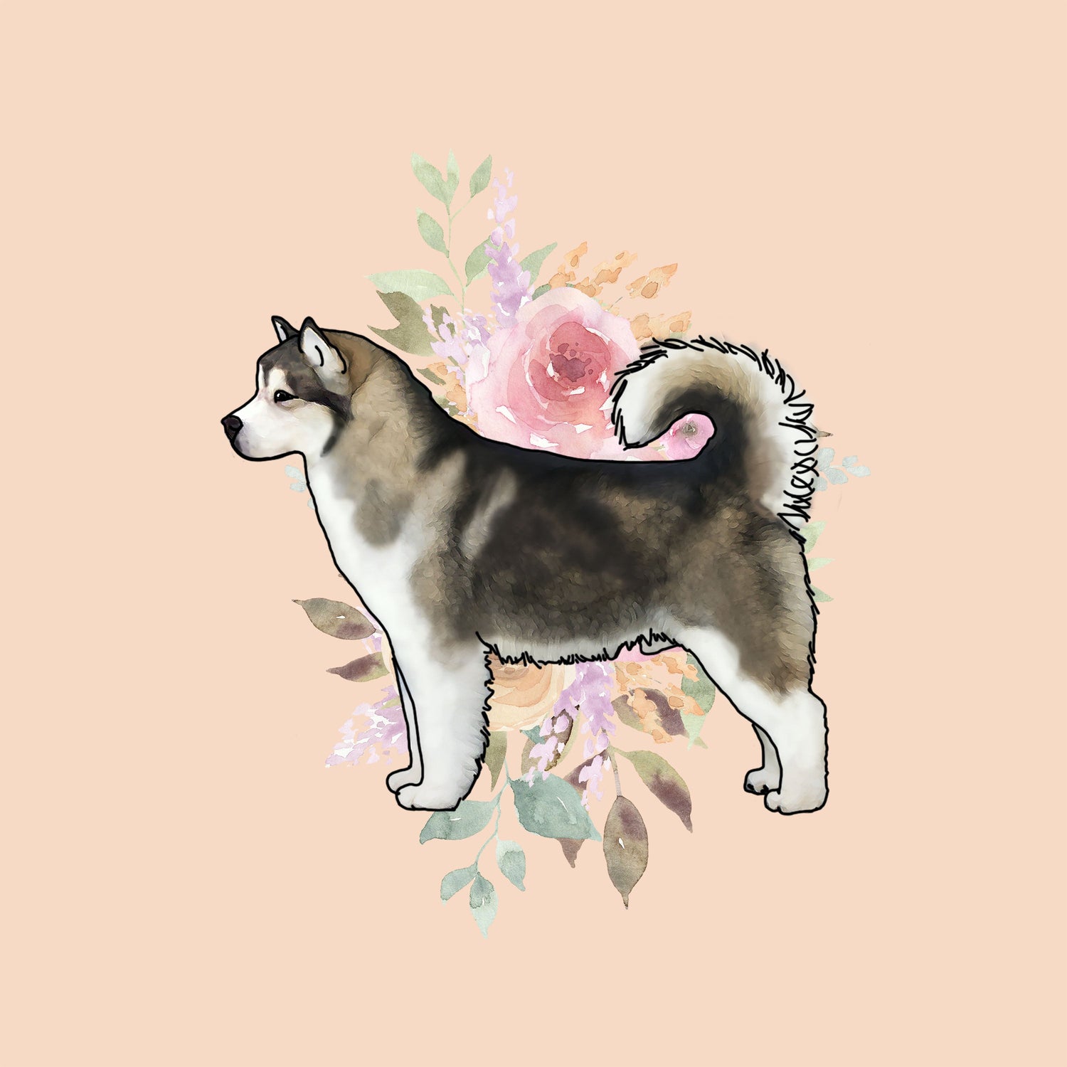 Alaskan Malamute