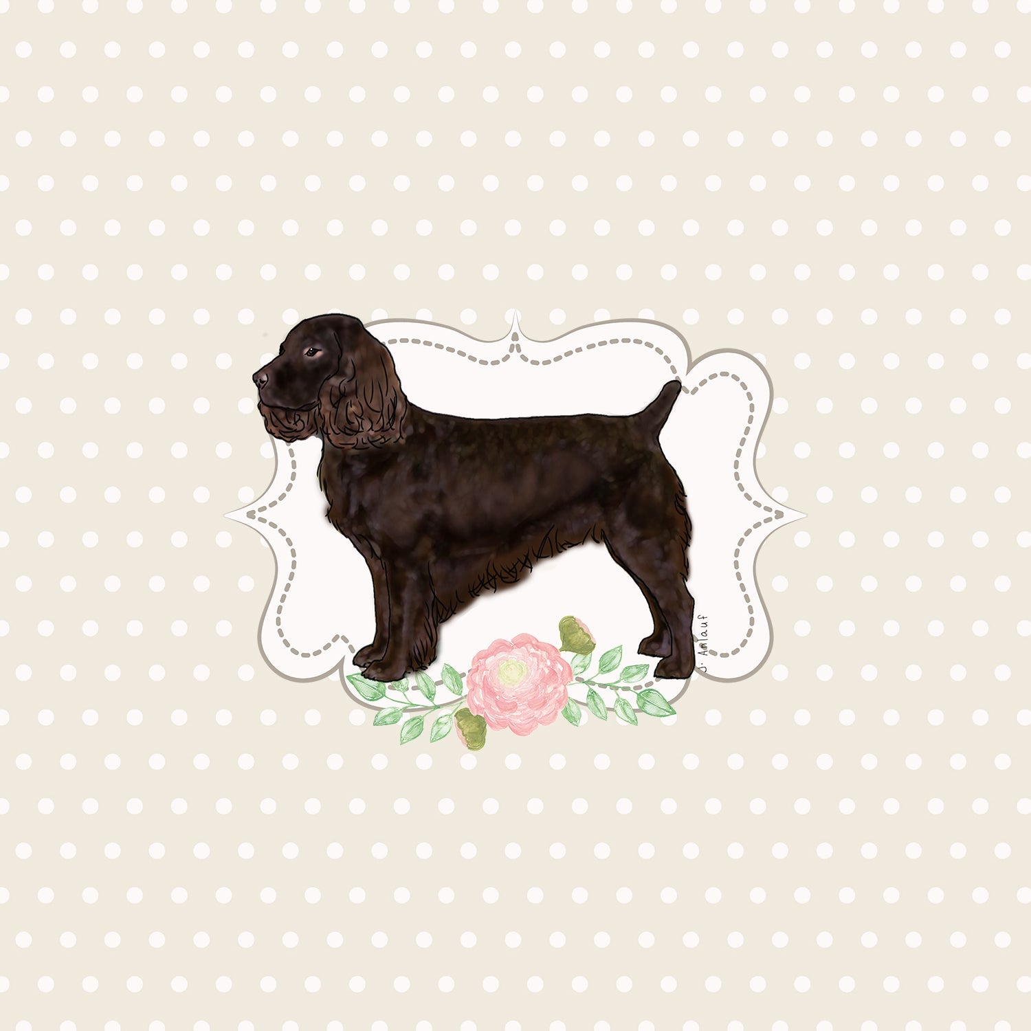 Boykin Spaniel
