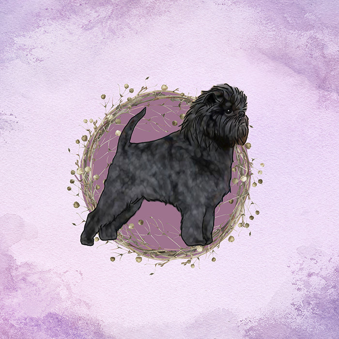 Affenpinscher