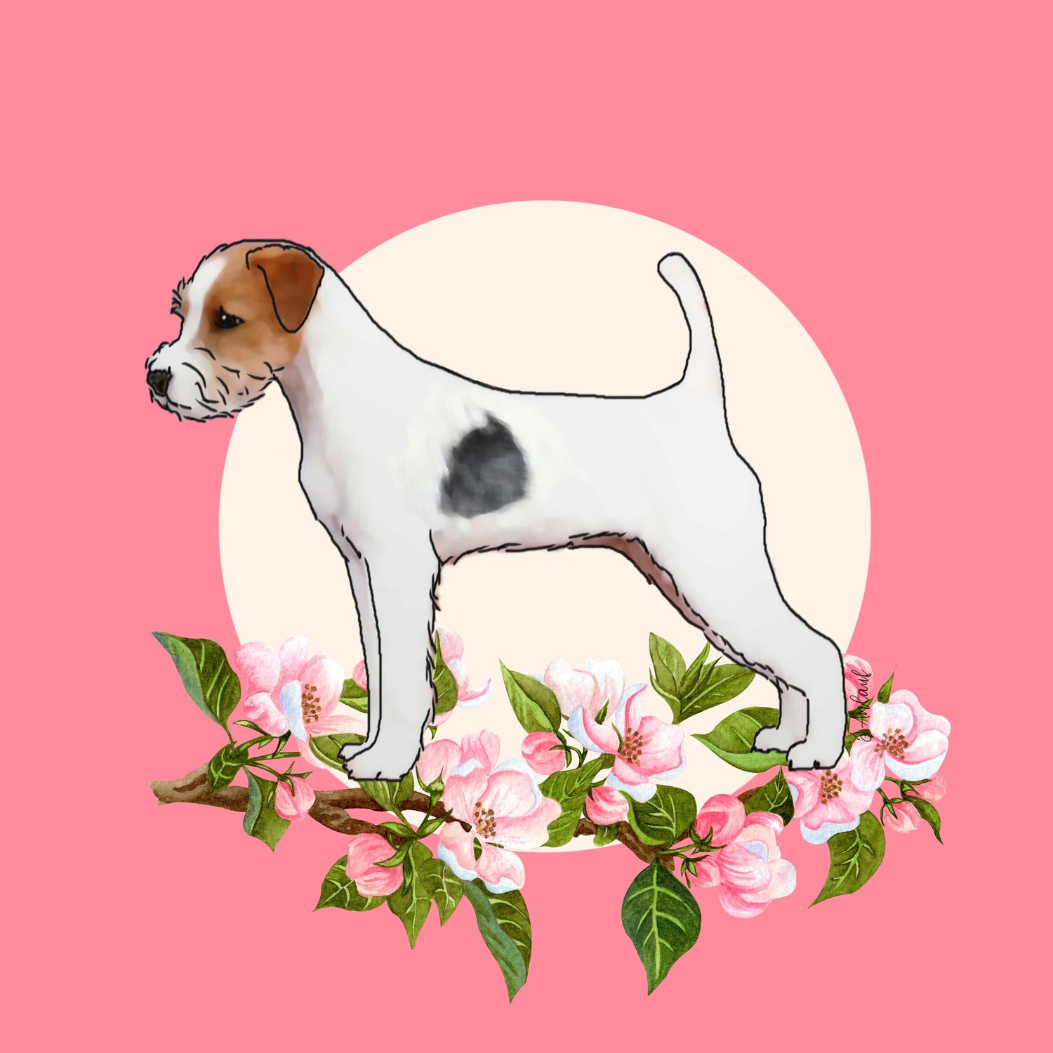 Parson Russell Terrier