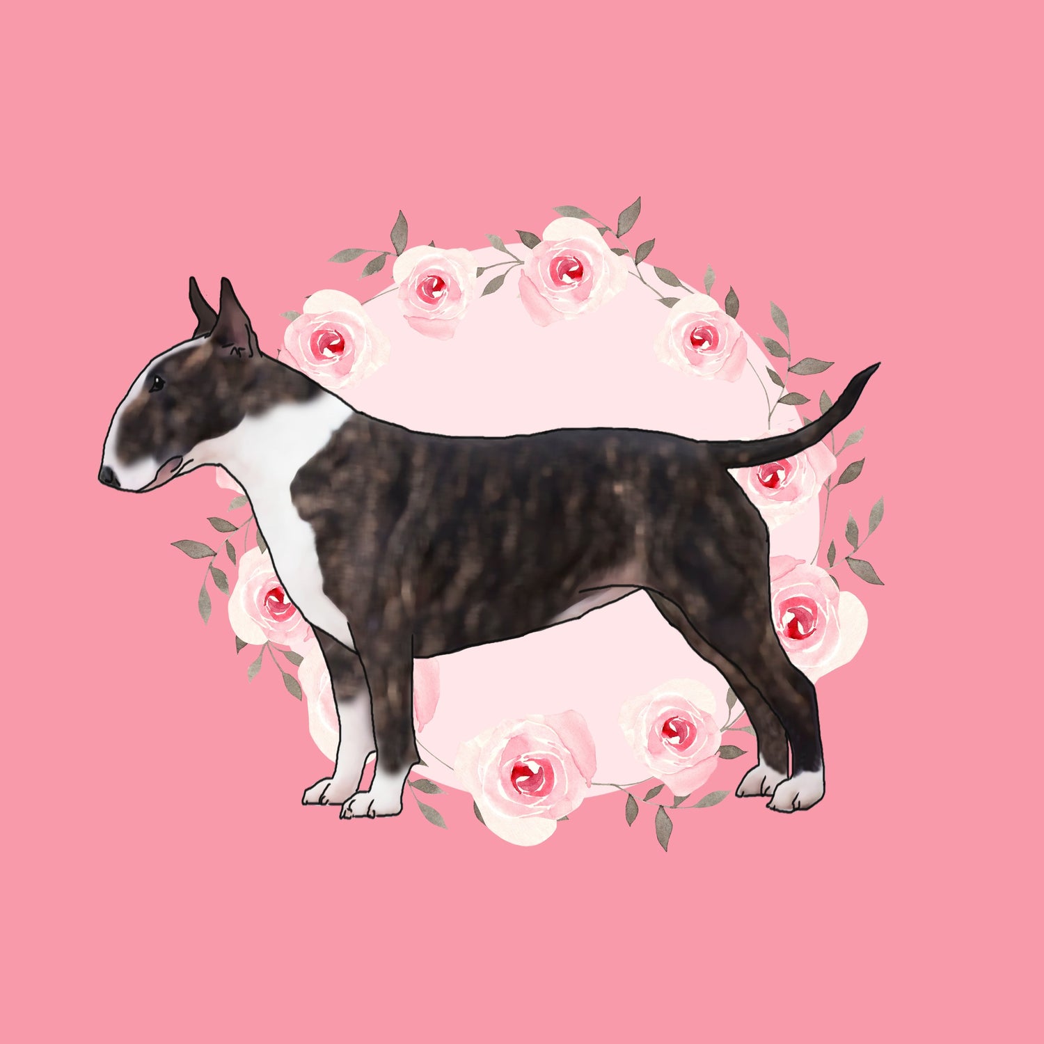 Bull Terrier