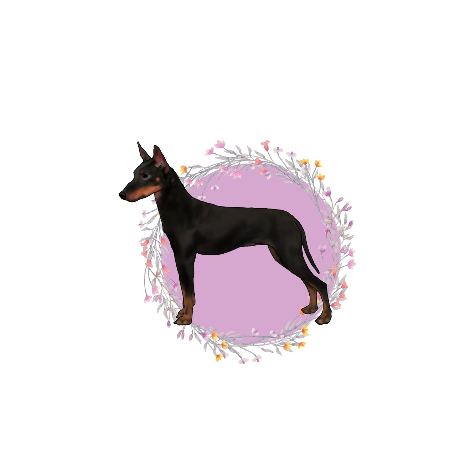 Manchester Terrier