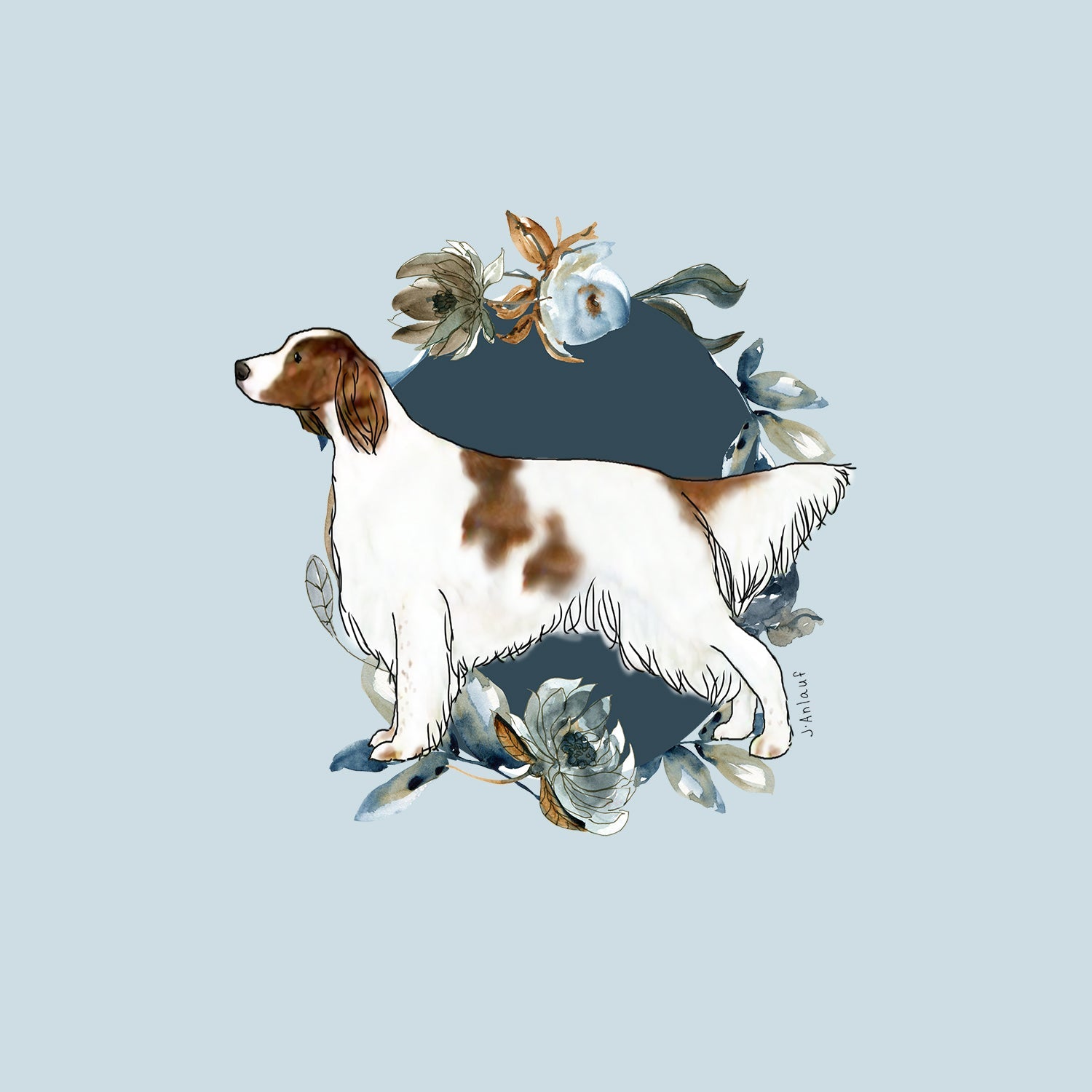 Irish Red and White Setter