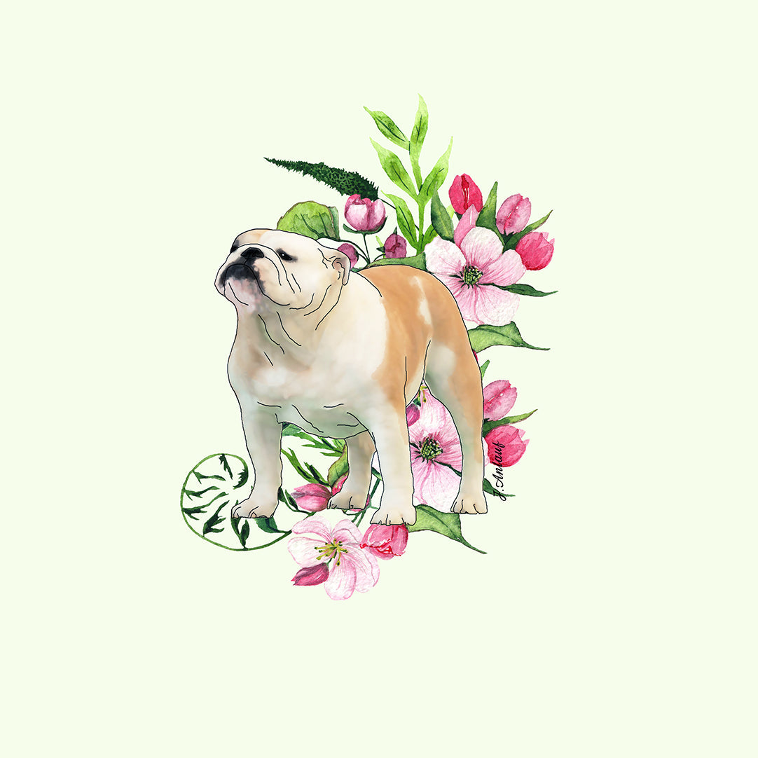 Bulldog