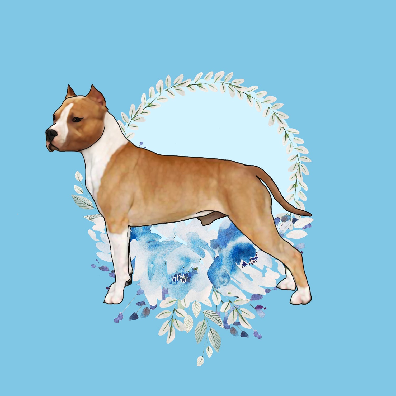 American Staffordshire Terrier