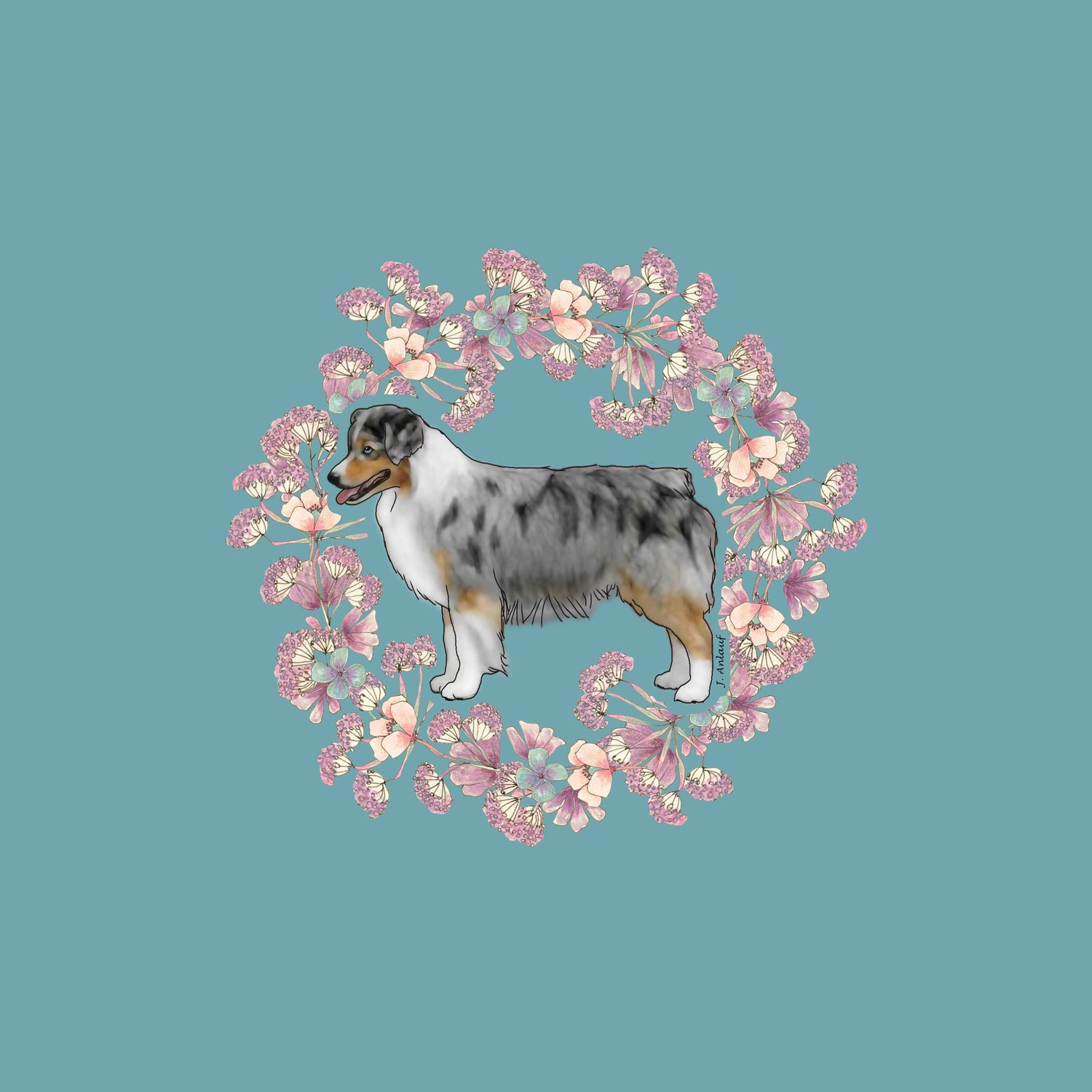 Miniature American Shepherd
