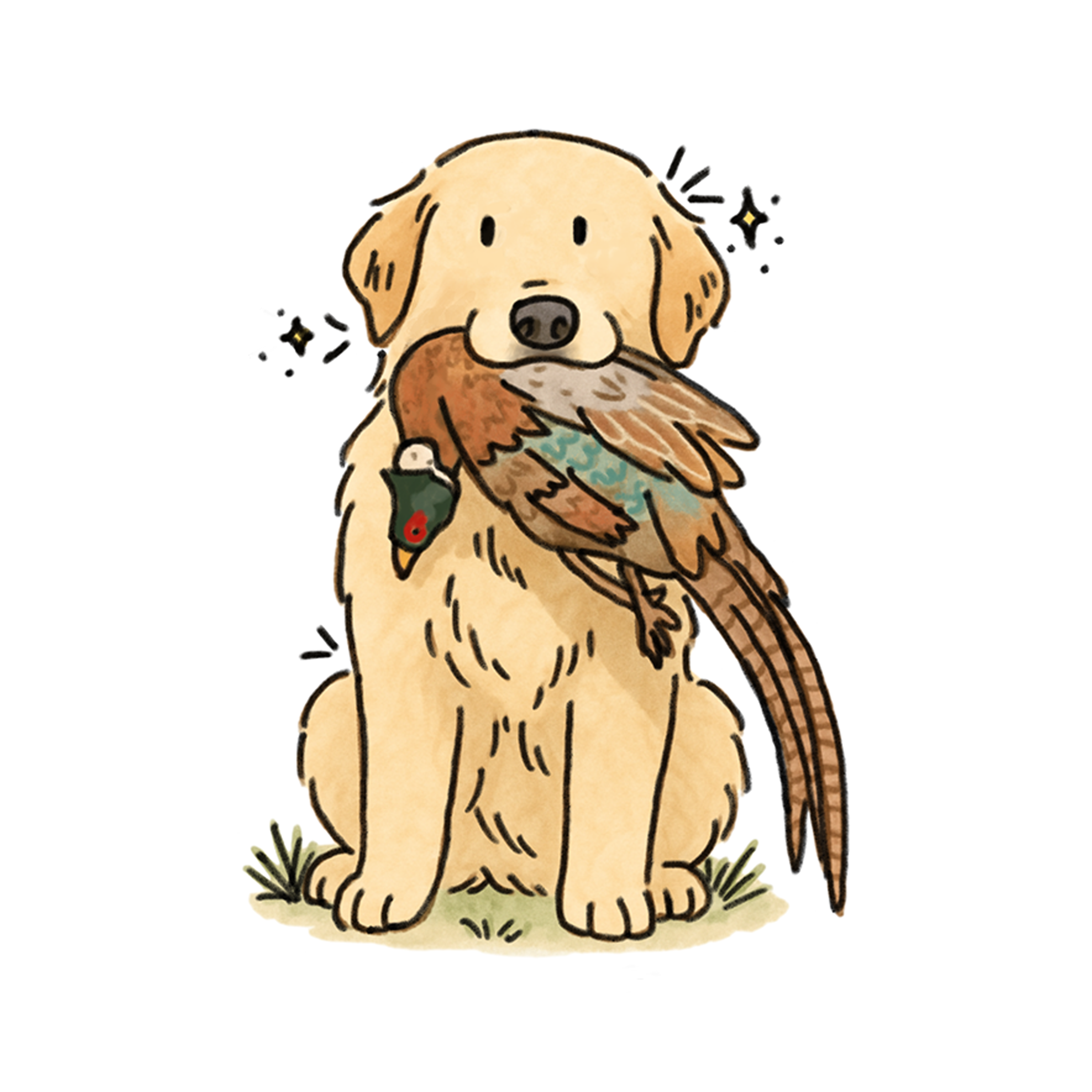 Pheasant Hunt Golden Retriever