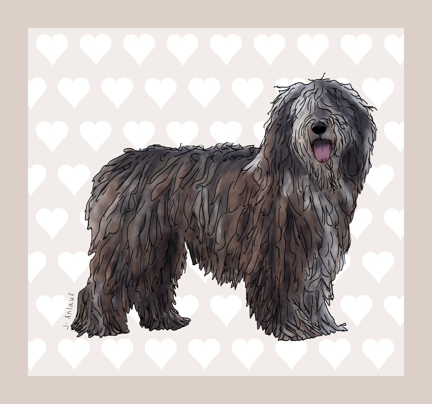 Bergamasco Sheepdog