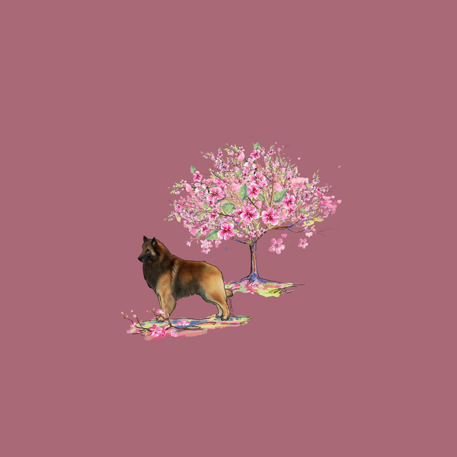 Belgian Tervuren