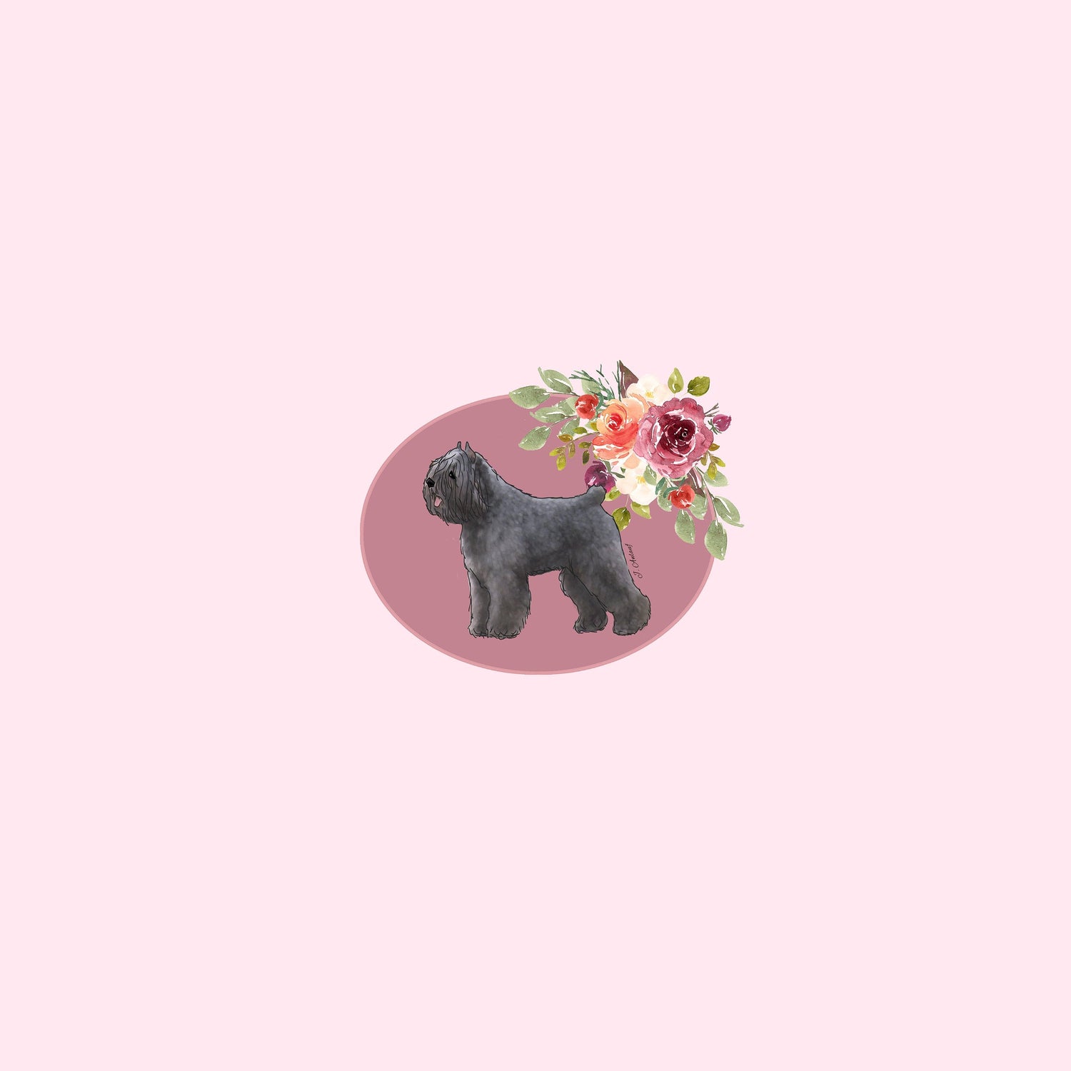 Bouvier Des Flandres