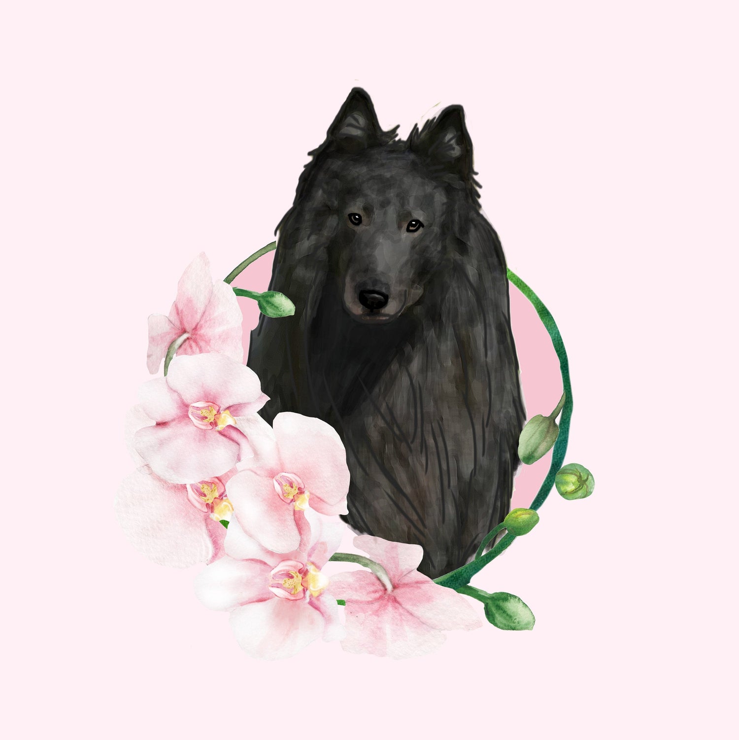 Belgian Sheepdog