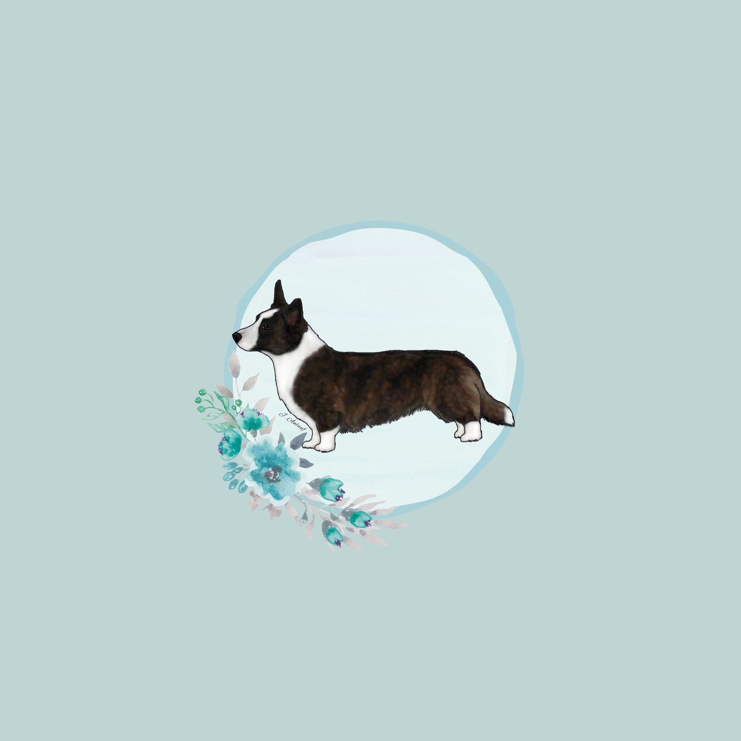 Cardigan Welsh Corgi
