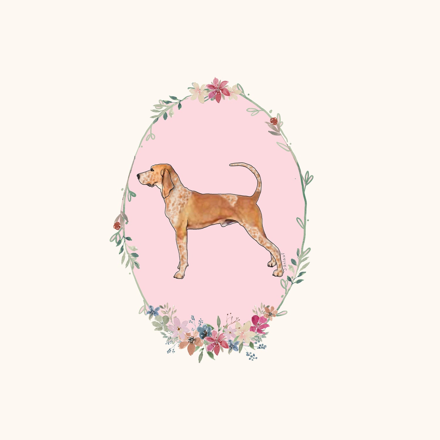 American English Coonhound