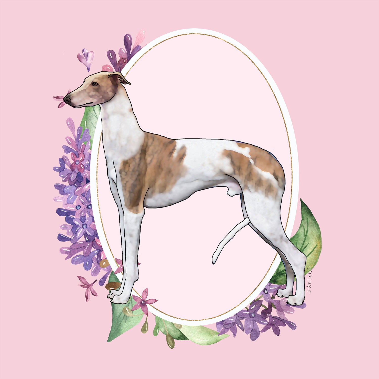 Greyhound