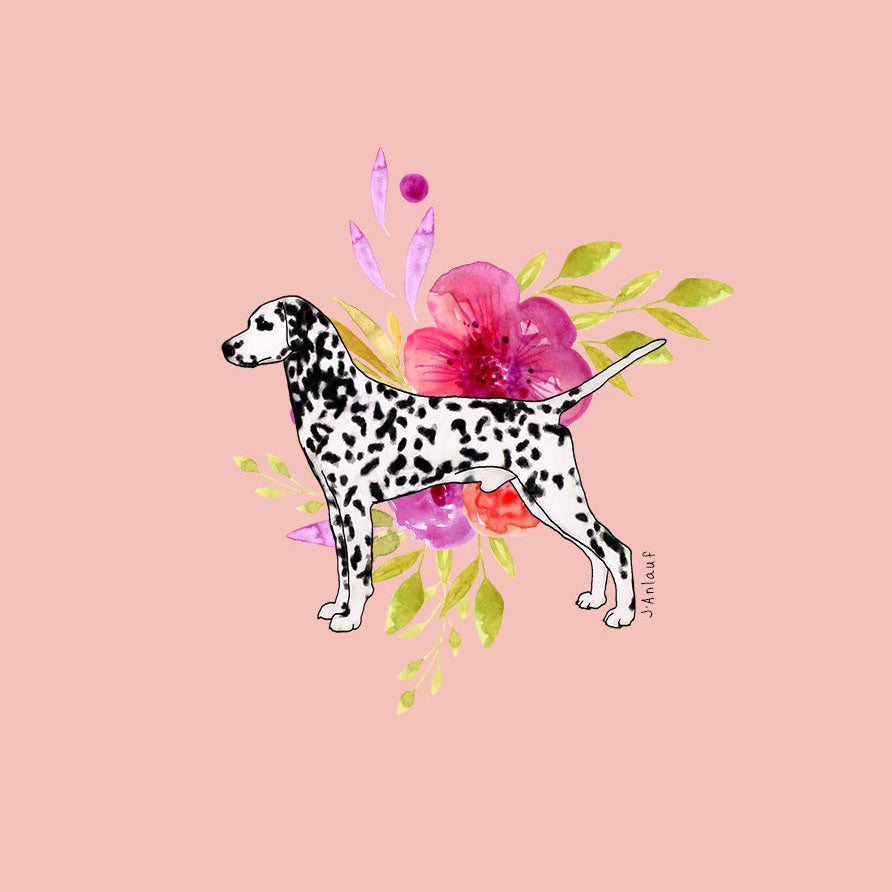 Dalmatian