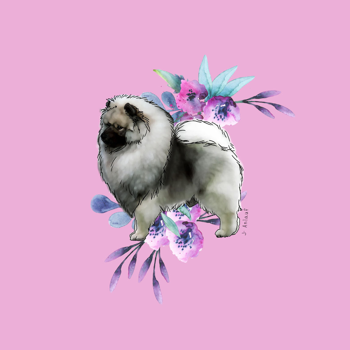 Keeshond