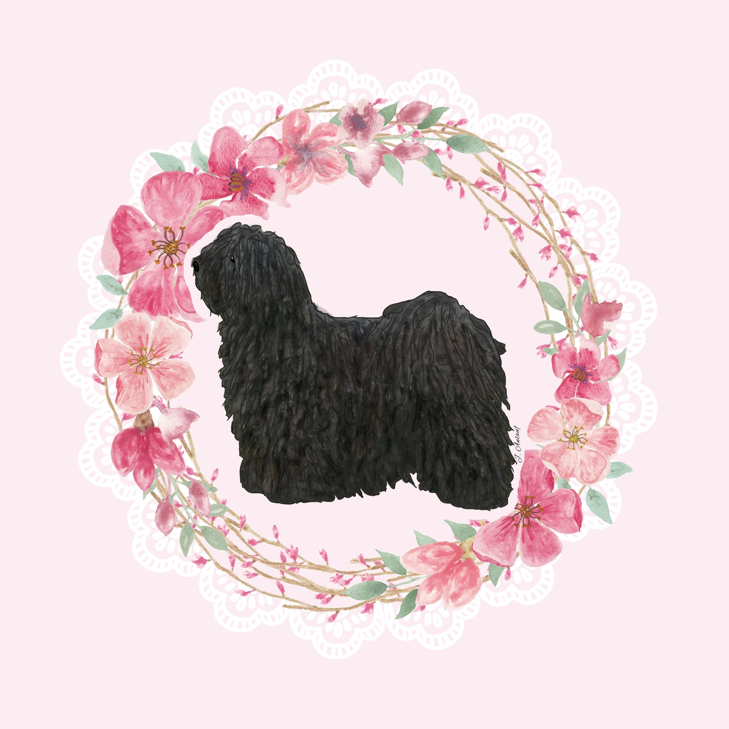 Puli