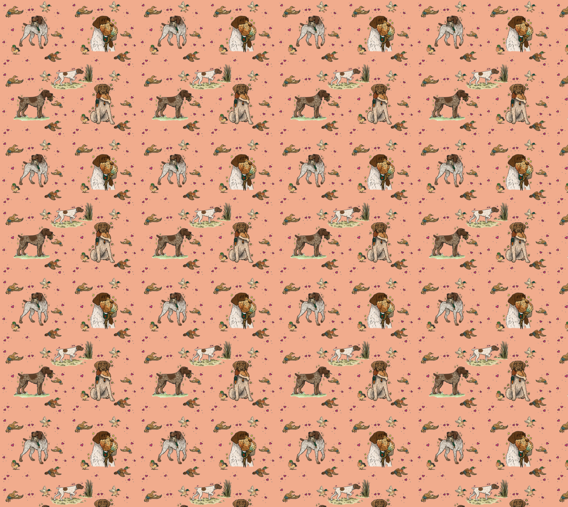 German Wire-Haired Pointer