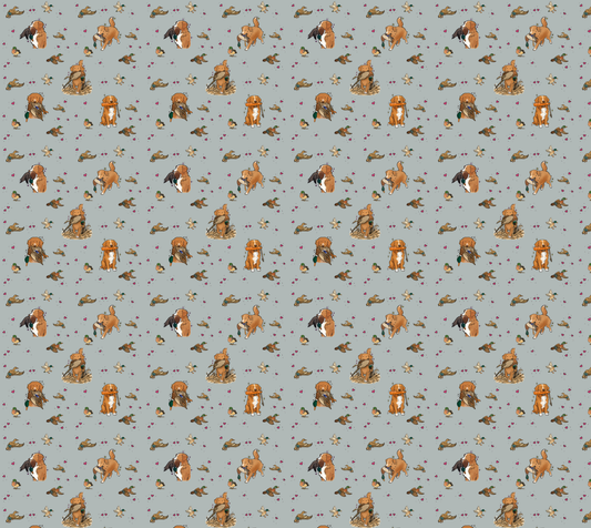 Nova Scotia Duck Tolling Retriever