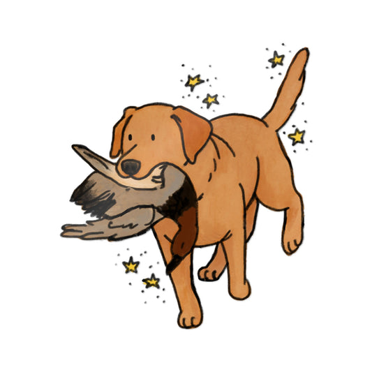 PermaDecal (indoor/outdoor)