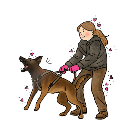 PermaDecal (indoor/outdoor) Bite-Work Belgian Malinois