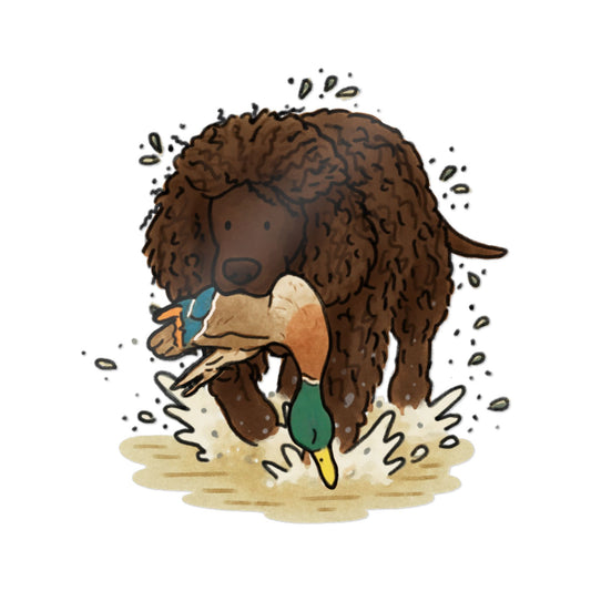 PermaDecal (indoor/outdoor) Irish Water Spaniel