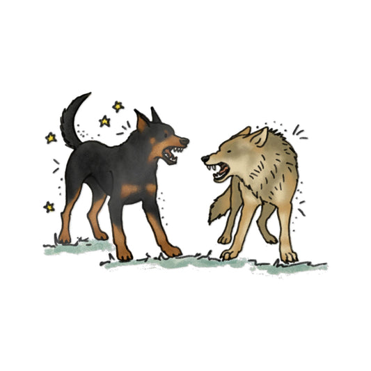 PermaDecal (indoor/outdoor)