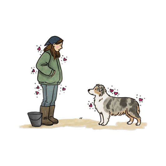 PermaDecal (indoor/outdoor)