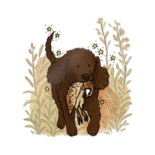 PermaDecal (indoor/outdoor) American Water Spaniel
