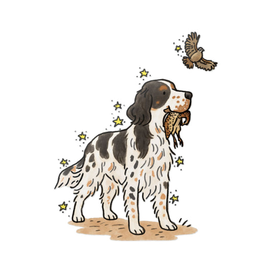 PermaDecal (indoor/outdoor) English Setter