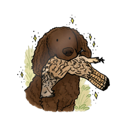 PermaDecal (indoor/outdoor) American Water Spaniel